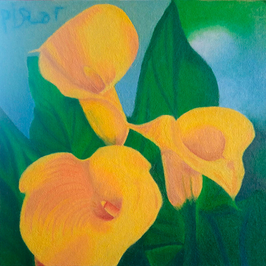 Campanillas Amarillas