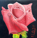 Rosa Con Rocio