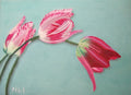 Tulipanes Rosados