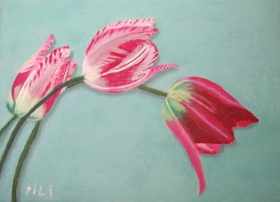 Tulipanes Rosados